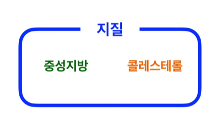 당뇨 식사요법
