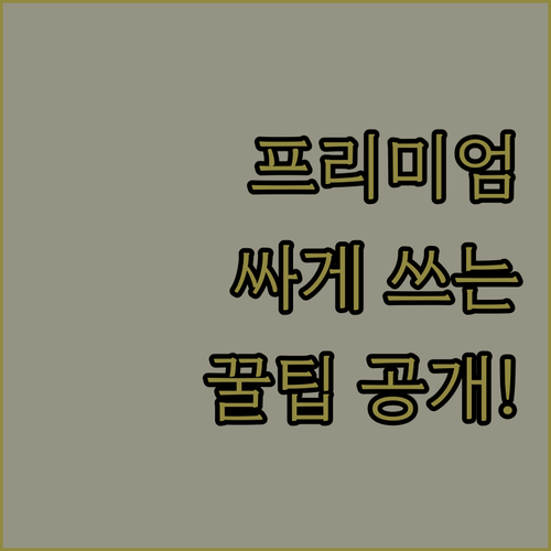 유튜브 프리미엄, 비싸게 쓰지 마세요