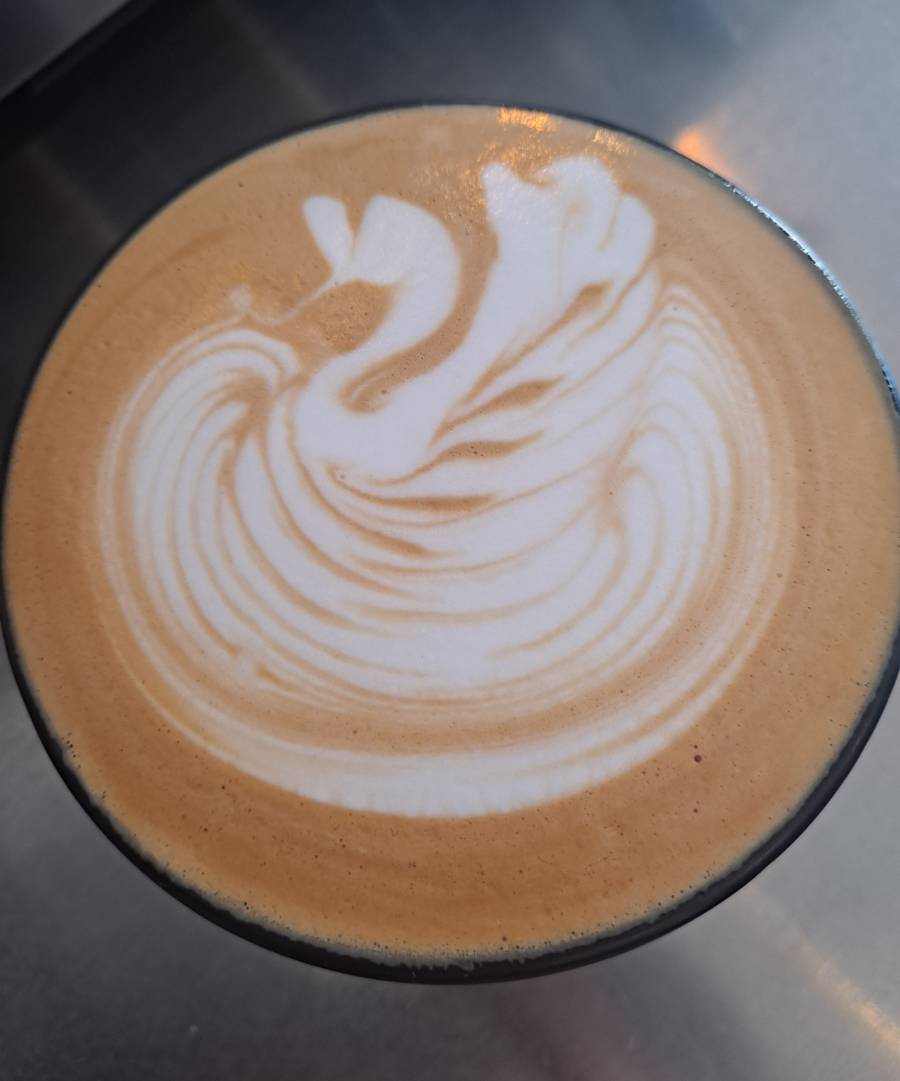 라떼아트 스완작품