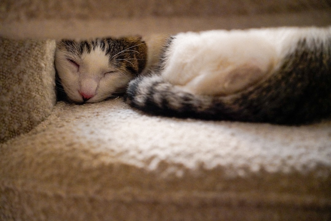 Naptime
