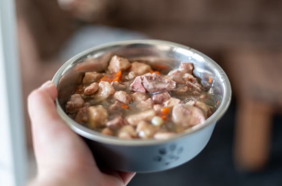 개를 위한 젖은 음식.