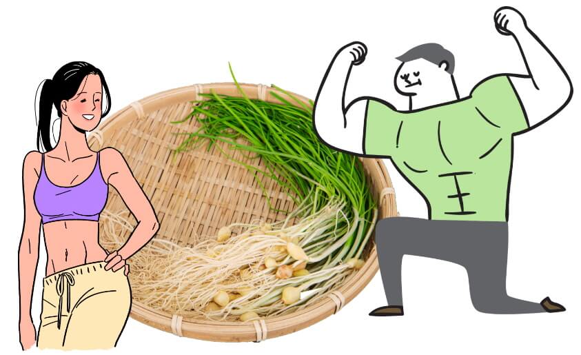 달래효능