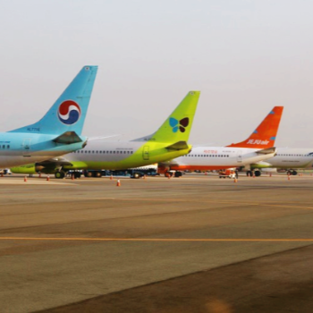 제주도 관광 항공권