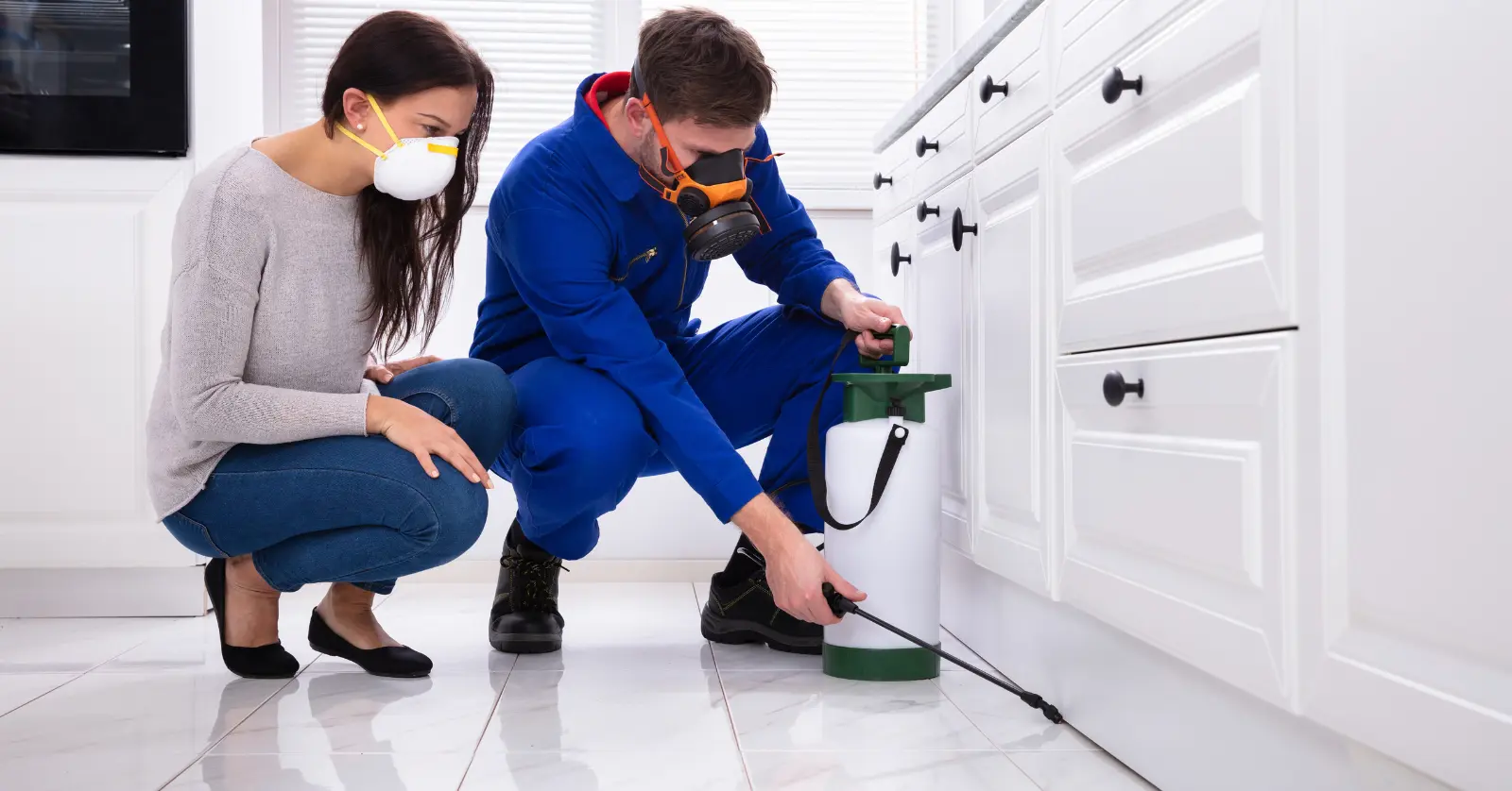 세스코 방역비용 구성 요소 분석