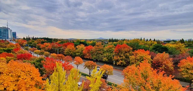일산 가볼만한곳 베스트10 숨겨진 명소_1