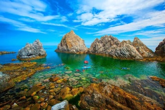 강원 삼척 장호항