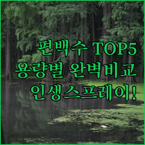 피톤치드 편백수 스프레이 추천 TOP..