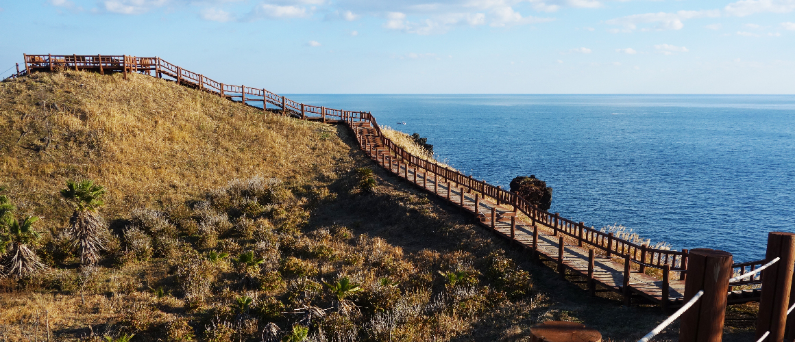 제주도 인생샷 명소