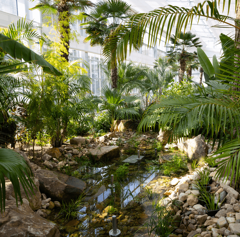 용인 자작나무숲 봄꽃축제