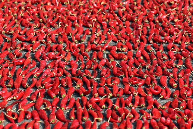 2025 공익직불금 방문 신청(가이드)