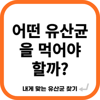 내게 맞는 유산균 찾기