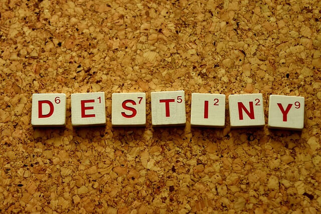 신한라이프 운세