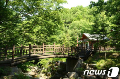 국립자연휴양림 예약 방법