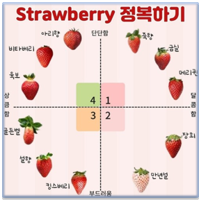 딸기 품종별 내용 확인하기