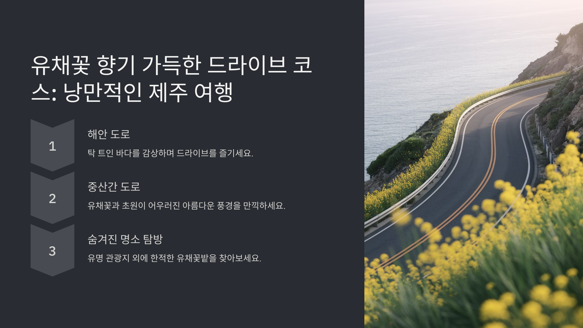 제주도 유채꽃 개화 시기와 명소