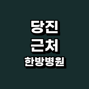 당진시 한방병원
