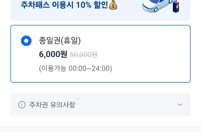 주말종일권요금