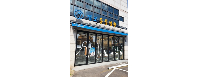 양평군 동물병원