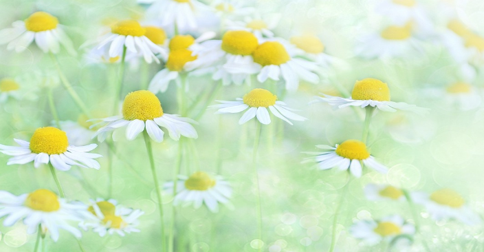 금요일 아침인사말과 가볍게 보낼 테스트 모음집