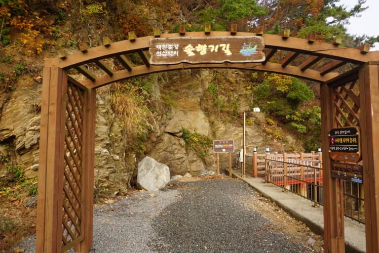 태안 솔향기길 1코스 만대항 용난굴 트레킹 완벽 가이드 사진