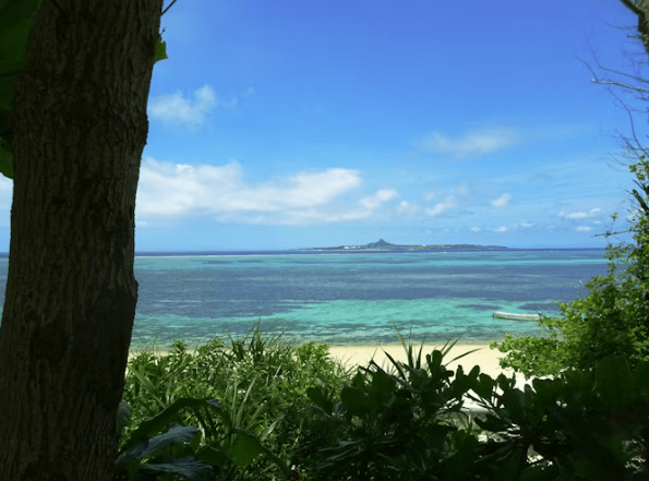 오키나와 렌터카 완벽 가이드: 초보도 빌리는 꿀팁!