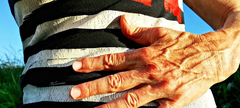 신체 복부 사진