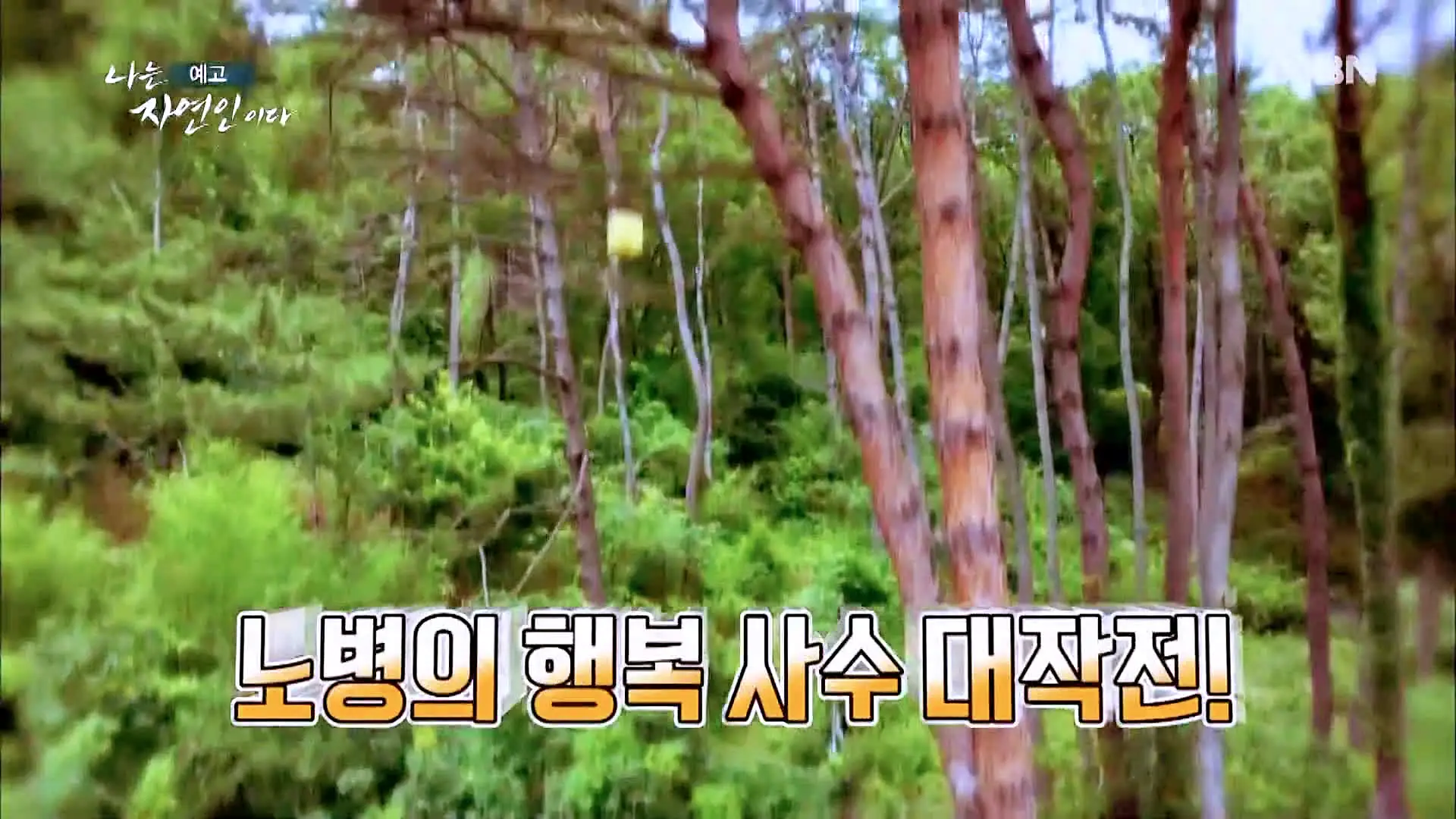이승윤 윤택 나는 자연인이다 512회 노병은 살아있다! 의족으로 산속을 누비는 자연인 이기남 소개 및 출연 다시보기