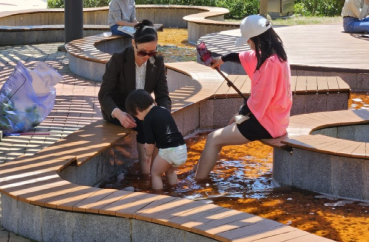 보성 다향대축제