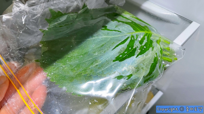 눕혀서-보관하지-않기