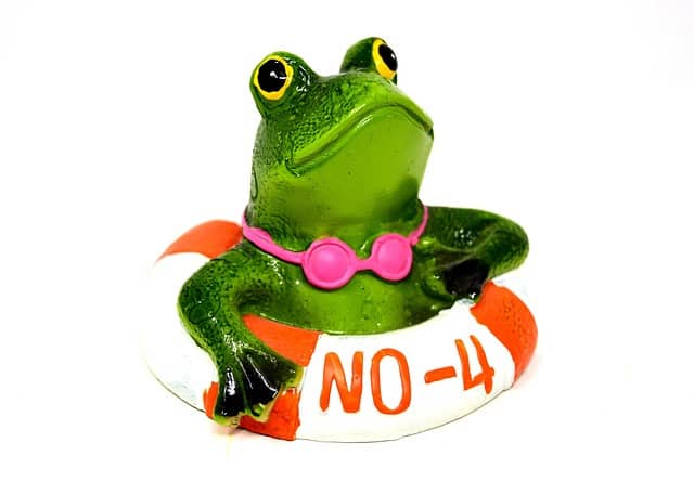 중년 여성 수영배우기