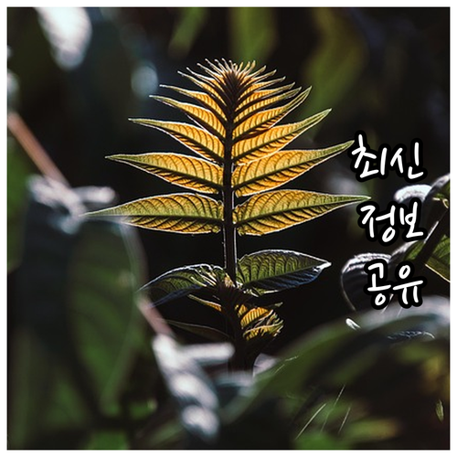 2025년 군산시 농업인 유기질비료 ..