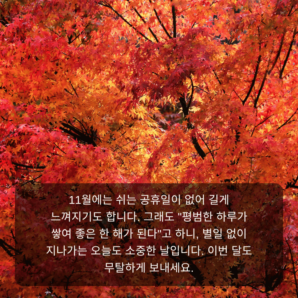 11월 인사말 이미지 3 - 평범한 하루가 쌓여 좋은 한 해가 된다, 무탈한 11월 안부