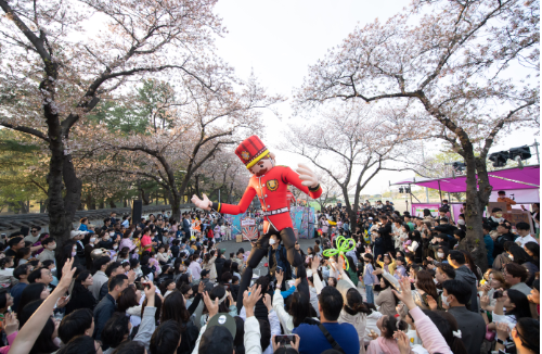 경주 대릉원돌담길 벚꽃축제