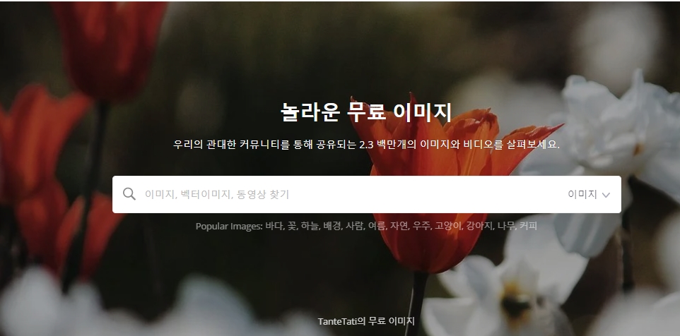 저작권 없는 이미지 사이트 무료 모음