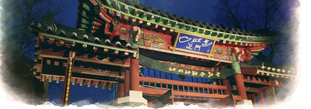 남이공화국