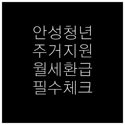 2026 안성시 청년 주거비 지원 소..