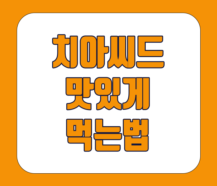 치아씨드 맛있게 먹는법 정리