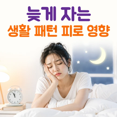늦게 자는 생활 패턴 피로 영향