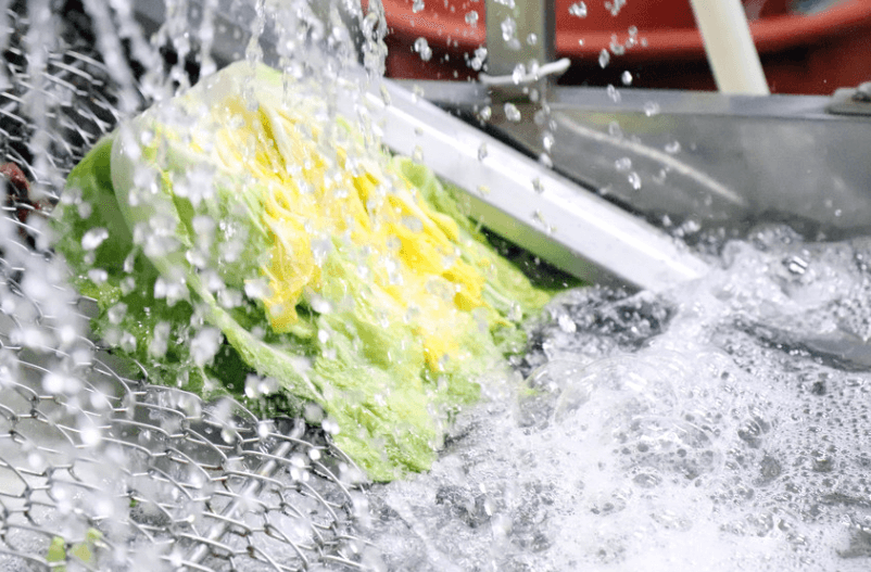 절임배추 추천 BEST 5