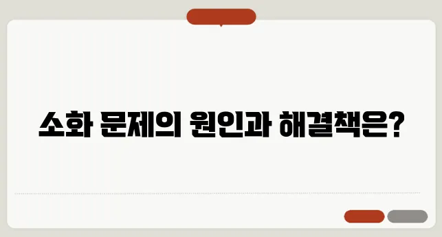 소화가 잘 안될 때 나타나는 증상 & 해결법 (위산 부족 vs 과다 차이)