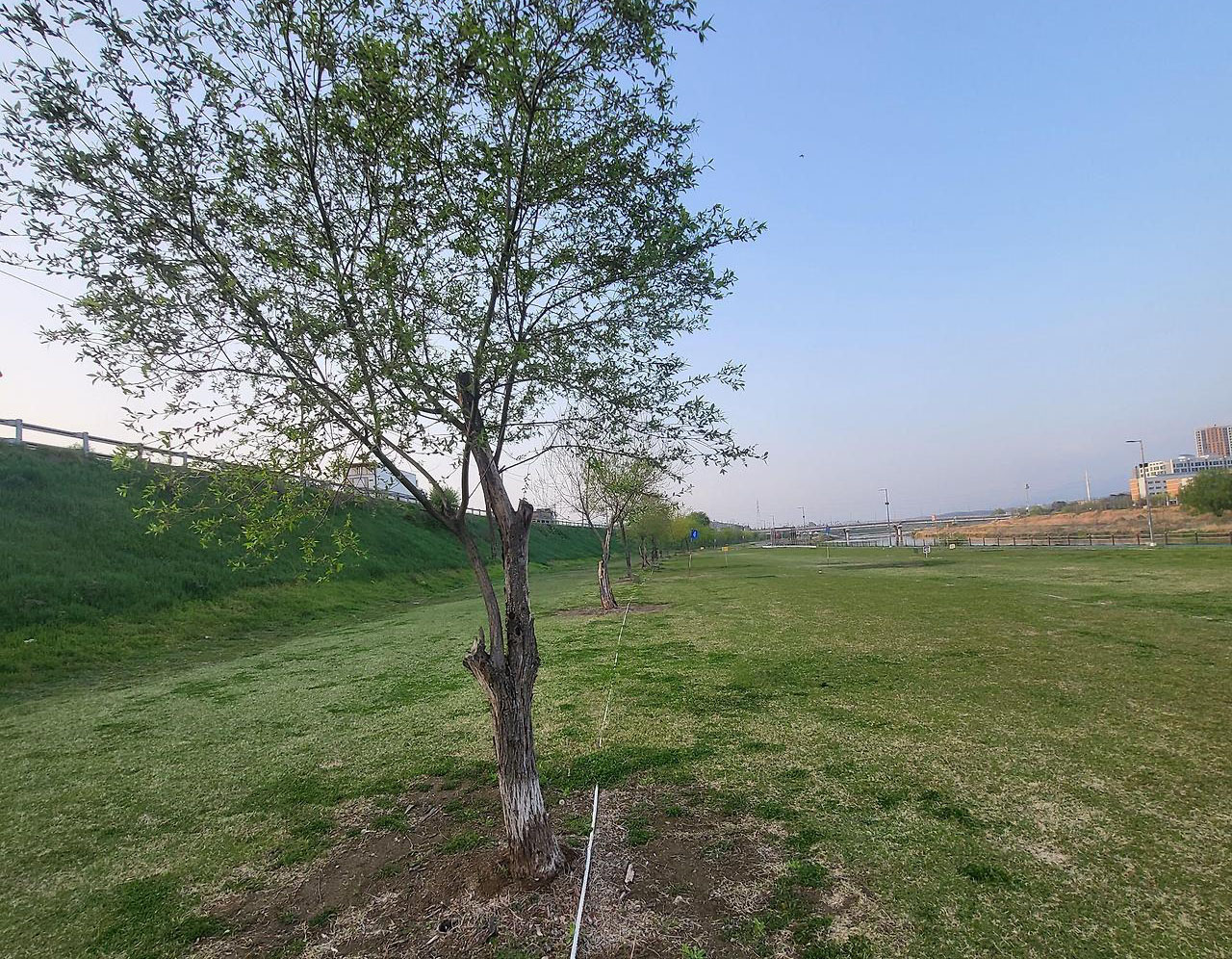 경기도 구리시파크골프장 (왕숙천파크골프장) 소개