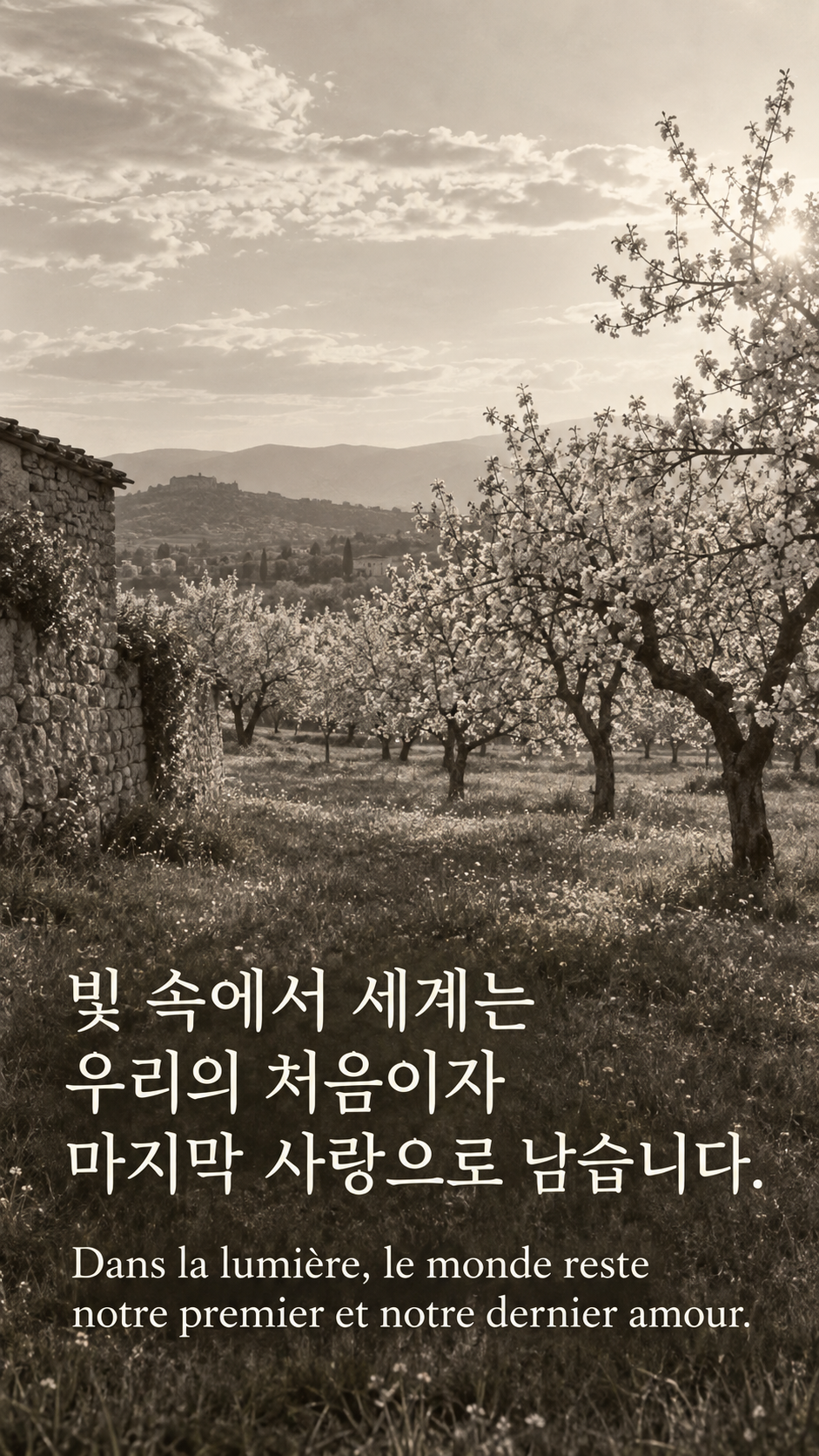 세계와의 사랑을 잊지 않기 &mdash; 1930년대 분위기의 꽃 핀 과수원