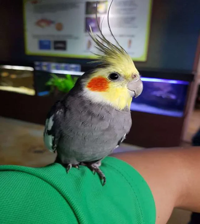 강릉생태체험박물관 자연아놀자