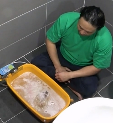 구성환 반려견 꽃분이 무지개다리 건넘. 