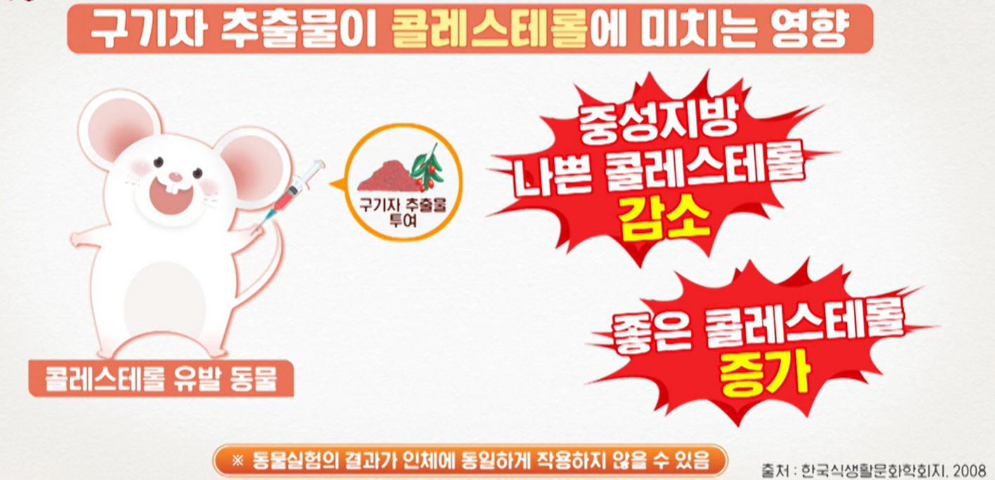 홍국 발효 구기자 효능