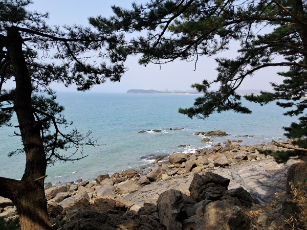 슬로우 트래블 큐레이터