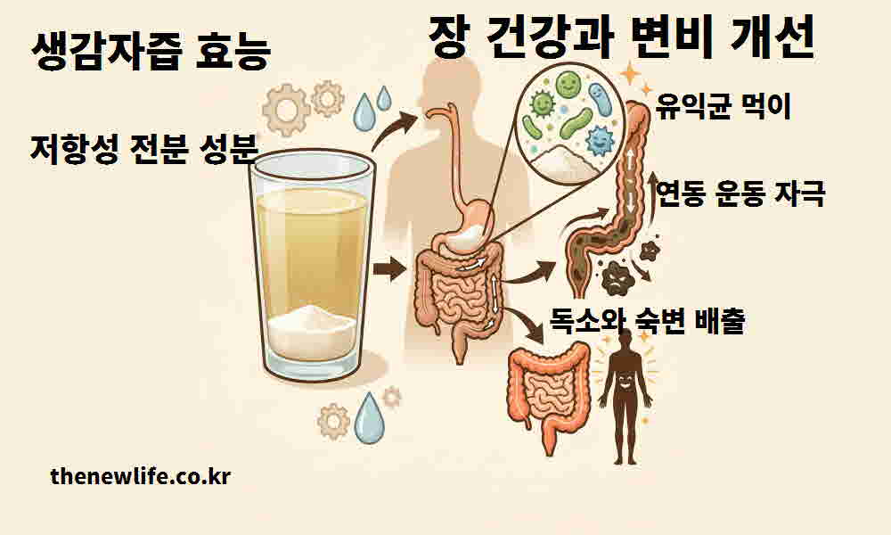 생감자즙 효능 장 건강 변비 개선