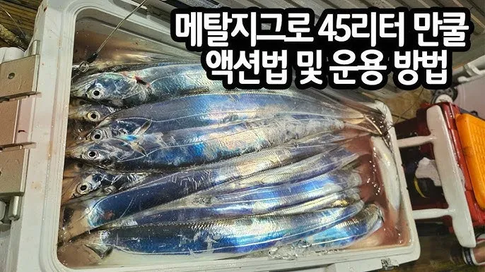 메탈지그 운용 삼치 회유 타이밍 포인트와 릴링 속도 조절_4