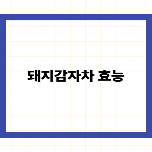 돼지감자차 효능 —식후 혈당 스파이크를 막는 볶은 돼지감자의 마법