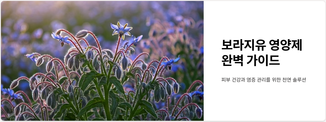 보라지유 영양제 효능, 섭취방법, 부작용 총정리!